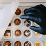 Küçük Boy Seperatörsüz Kutu 25'li Belçika Çikolatası 420gr